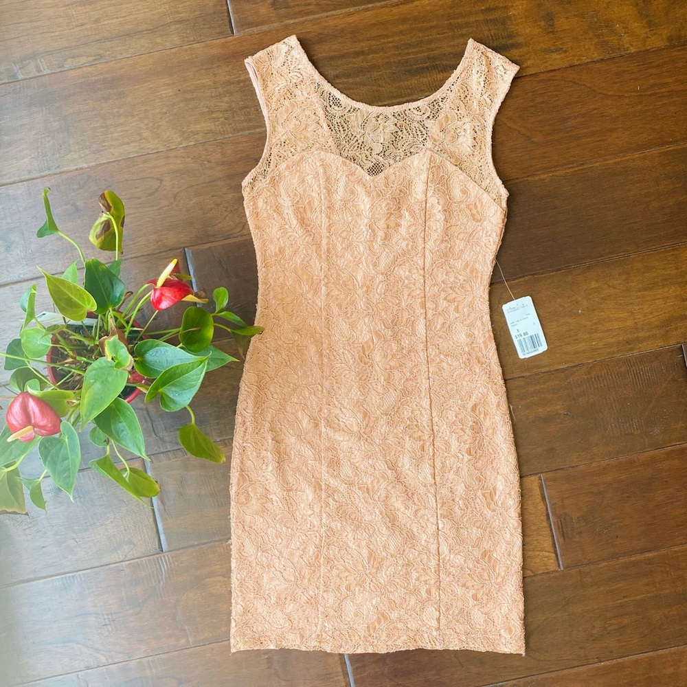 Forever 21 Blush Sweetheart Lace Dress